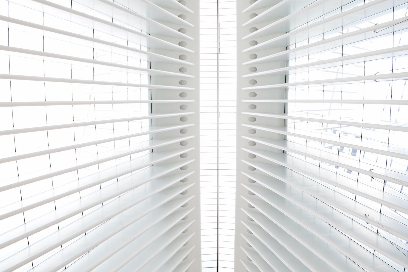 Bright Shutters Everywhere